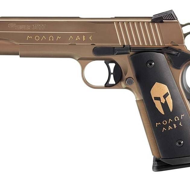 Sig Sauer 1911 Spartan FS .45 ACP 8rd 5" Bronze Pistol 1911-45-SPARTAN