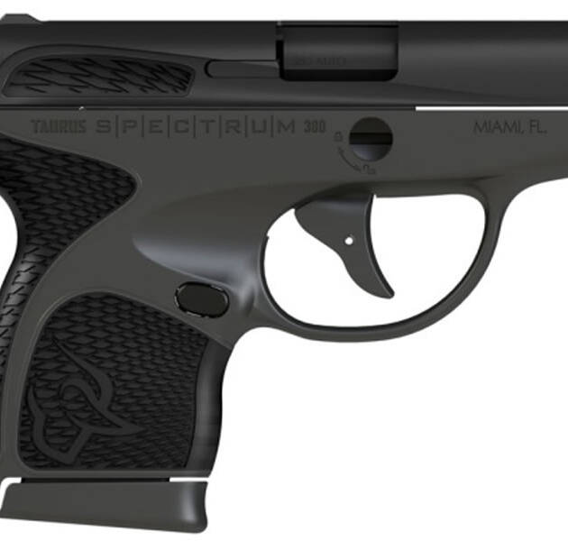 Taurus Spectrum 380 ACP Gray/Black Carry Conceal Pistol