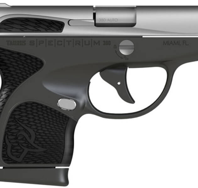 Taurus Spectrum 380 ACP Gray/Stainless Carry Conceal Pistol